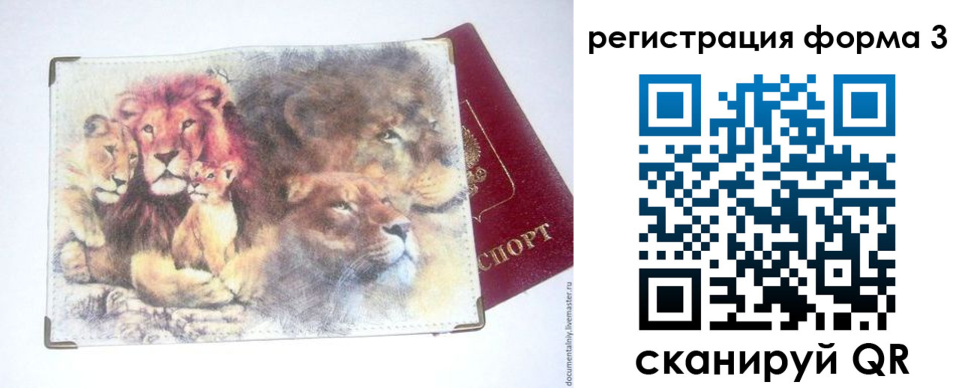 прописка в квартире в Балее